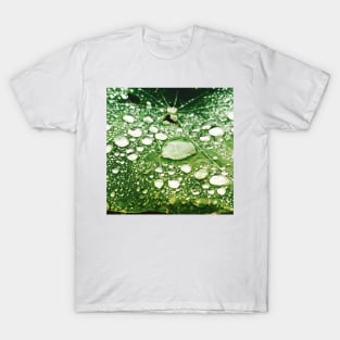 Rain on leaf T-Shirt